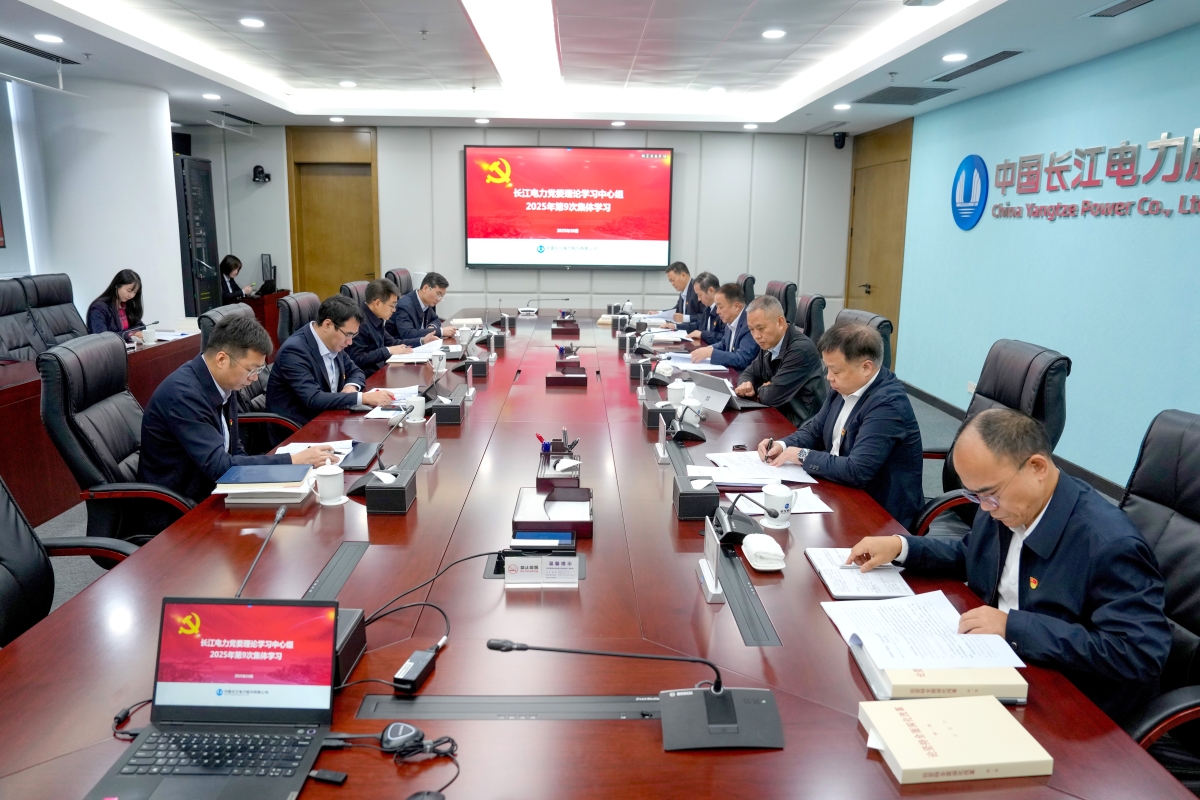 장강전력당위원회 이론연구센터그룹은 당 중앙위원회 제20기 제4차 전원회의 정신 연구를 전문으로 하는 그룹